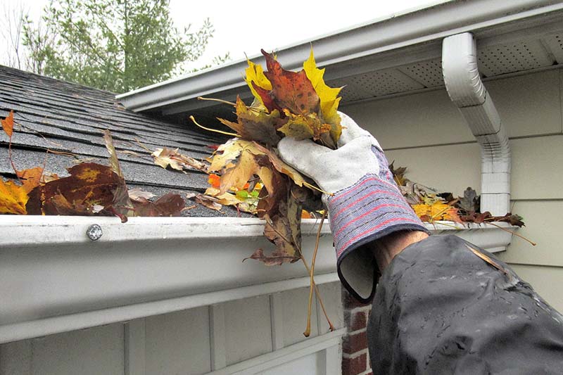 Gutter Cleaning Dublin