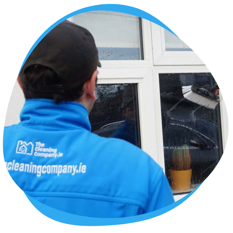 What do professional window cleaners use to clean windows?